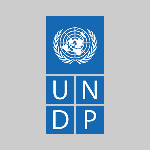 undp-partner